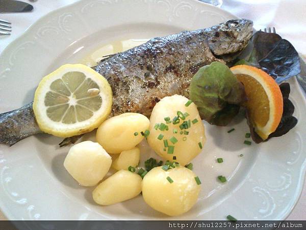 維也納哈爾斯塔特湖區17鱒魚餐