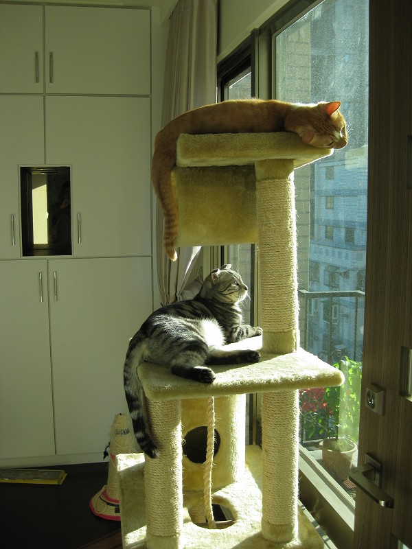 IMG_8780.jpg IMG_8780.jpg