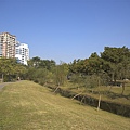 公園01.jpg