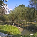 公園02.jpg