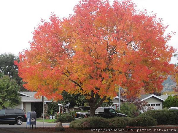 IMG_6724.JPG IMG_6724.JPG