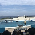 美麗海水族館