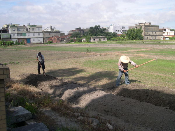 市民農園開墾