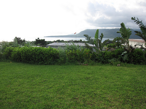 IMG_8788 (by ShuLin) IMG_8788 (by ShuLin)