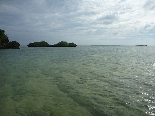 P1170779 (by ShuLin) P1170779 (by ShuLin)