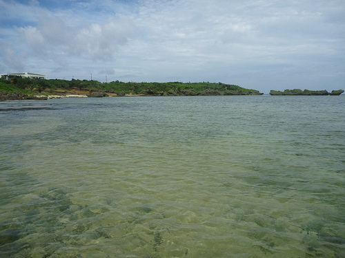 P1170777 (by ShuLin) P1170777 (by ShuLin)
