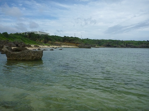 P1170802 (by ShuLin) P1170802 (by ShuLin)