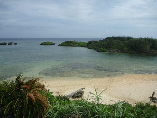 P1170814 (by ShuLin) P1170814 (by ShuLin)