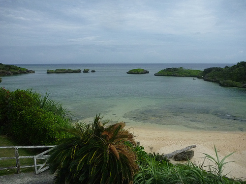 P1170815 (by ShuLin) P1170815 (by ShuLin)