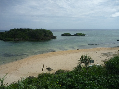 P1170816 (by ShuLin) P1170816 (by ShuLin)