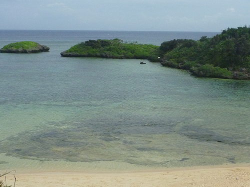 P1170817 (by ShuLin) P1170817 (by ShuLin)