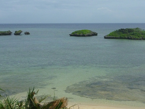 P1170818 (by ShuLin) P1170818 (by ShuLin)