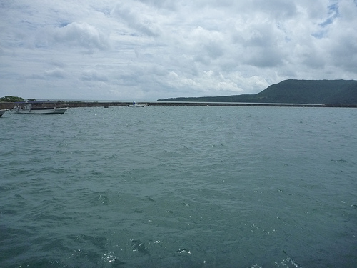 P1170821 (by ShuLin) P1170821 (by ShuLin)