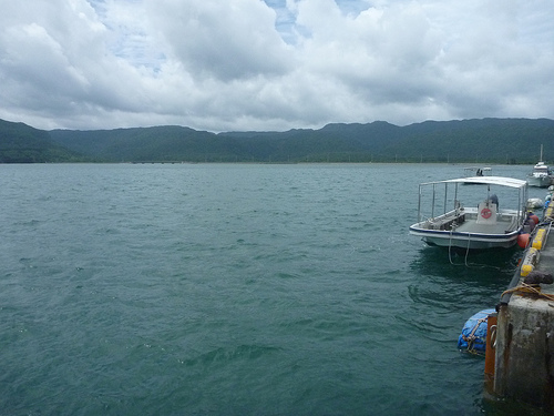P1170822 (by ShuLin) P1170822 (by ShuLin)