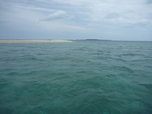 P1170832 (by ShuLin) P1170832 (by ShuLin)