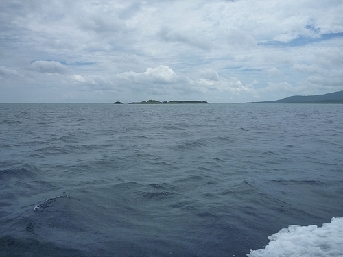 P1170828 (by ShuLin) P1170828 (by ShuLin)