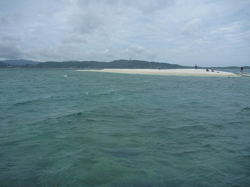 P1170835 (by ShuLin) P1170835 (by ShuLin)