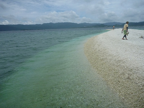 P1170836 (by ShuLin) P1170836 (by ShuLin)