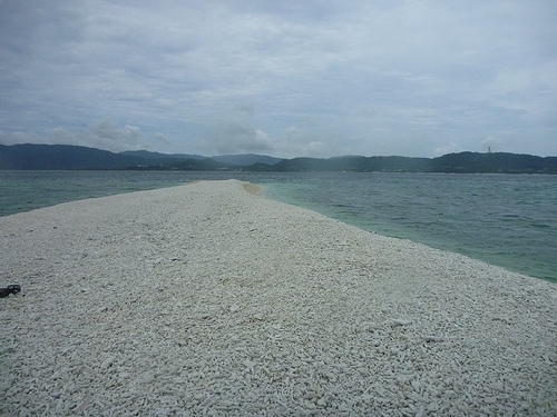 P1170887 (by ShuLin) P1170887 (by ShuLin)