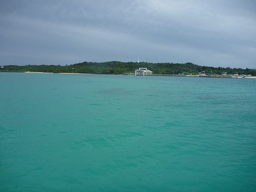 P1170892 (by ShuLin) P1170892 (by ShuLin)