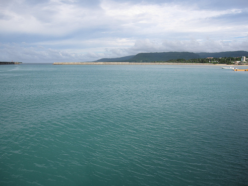 IMG_8806 (by ShuLin) IMG_8806 (by ShuLin)