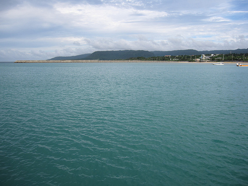 IMG_8808 (by ShuLin) IMG_8808 (by ShuLin)