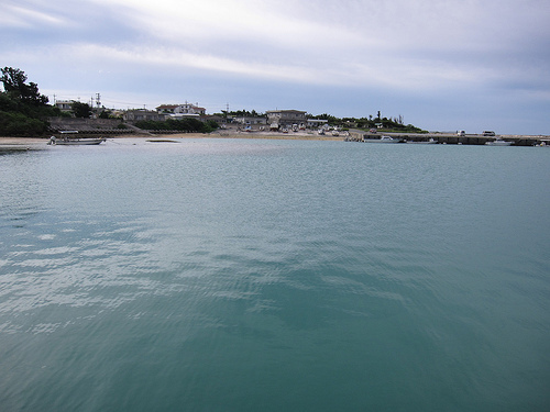 IMG_8810 (by ShuLin) IMG_8810 (by ShuLin)