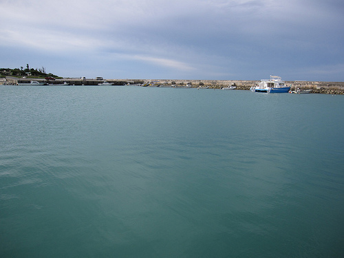 IMG_8811 (by ShuLin) IMG_8811 (by ShuLin)