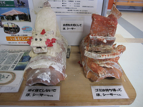 IMG_8814 (by ShuLin) IMG_8814 (by ShuLin)
