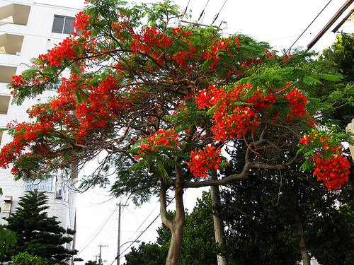 IMG_8834 (by ShuLin) IMG_8834 (by ShuLin)