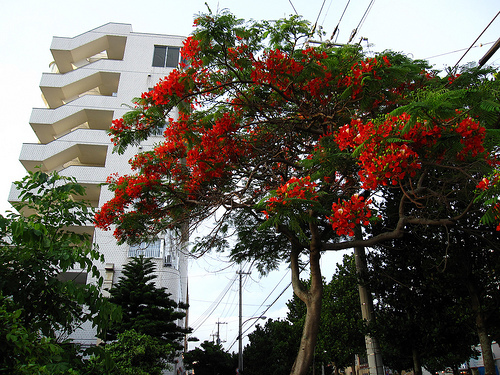 IMG_8835 (by ShuLin) IMG_8835 (by ShuLin)