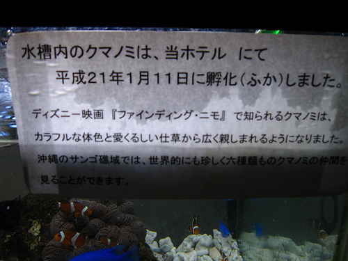 IMG_8878 (by ShuLin) IMG_8878 (by ShuLin)