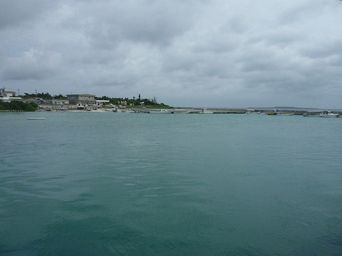 P1170603 (by ShuLin) P1170603 (by ShuLin)