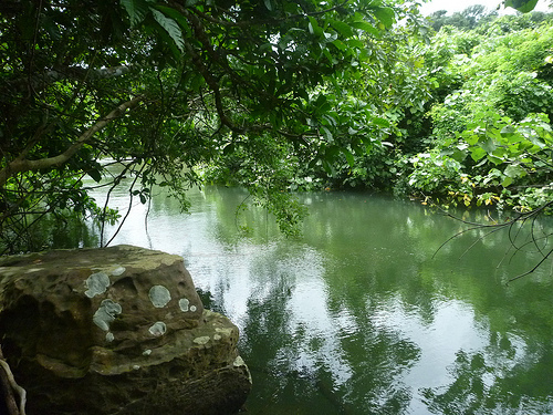 P1170619 (by ShuLin) P1170619 (by ShuLin)