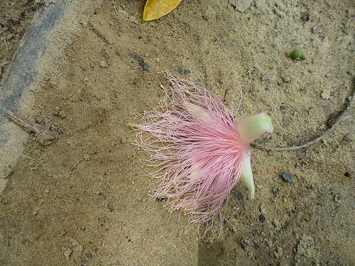 P1170621 (by ShuLin) P1170621 (by ShuLin)