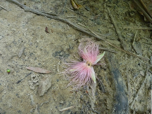 P1170620 (by ShuLin) P1170620 (by ShuLin)