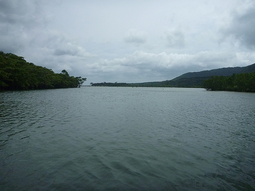 P1170631 (by ShuLin) P1170631 (by ShuLin)