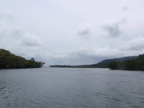 P6160010 (by ShuLin) P6160010 (by ShuLin)