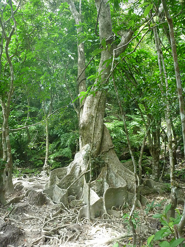 P1170638 (by ShuLin) P1170638 (by ShuLin)