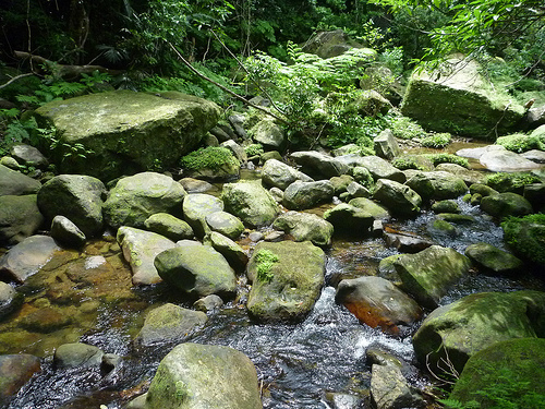 P1170641 (by ShuLin) P1170641 (by ShuLin)
