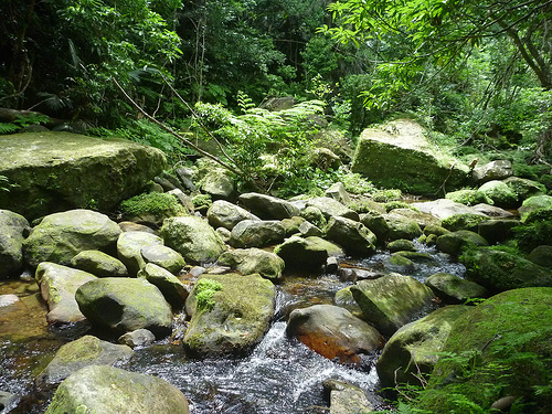 P1170642 (by ShuLin) P1170642 (by ShuLin)
