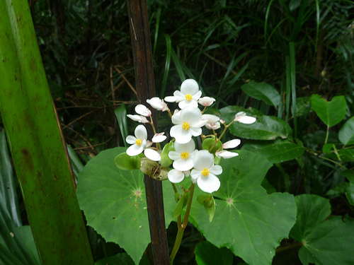 P1170650 (by ShuLin) P1170650 (by ShuLin)