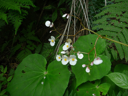 P1170652 (by ShuLin) P1170652 (by ShuLin)