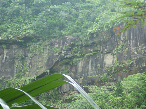 P1170654 (by ShuLin) P1170654 (by ShuLin)