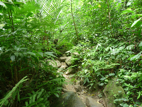 P1170665 (by ShuLin) P1170665 (by ShuLin)
