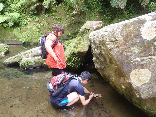 P6160067 (by ShuLin) P6160067 (by ShuLin)