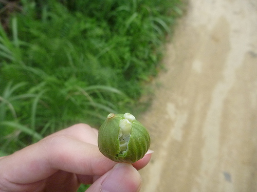 P1170767 (by ShuLin) P1170767 (by ShuLin)