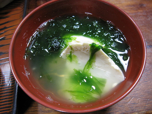 IMG_8744 (by ShuLin) IMG_8744 (by ShuLin)