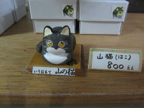 IMG_8758 (by ShuLin) IMG_8758 (by ShuLin)