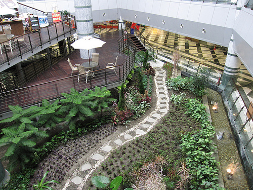 IMG_8659 (by ShuLin) IMG_8659 (by ShuLin)